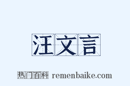 汪文言是什么意思的图片